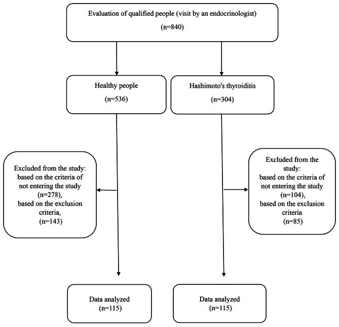 https://cdn.ncbi.nlm.nih.gov/pmc/blobs/5659/11375830/696dd40957c4/12902_2024_1708_Fig1_HTML.jpg