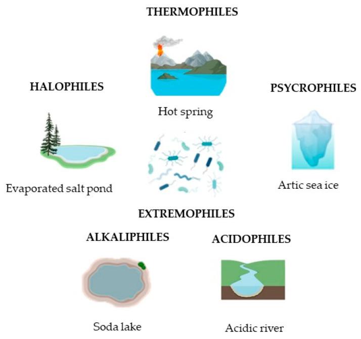 https://cdn.ncbi.nlm.nih.gov/pmc/blobs/5659/12292952/7cddcf650853/biology-14-00847-g001.jpg