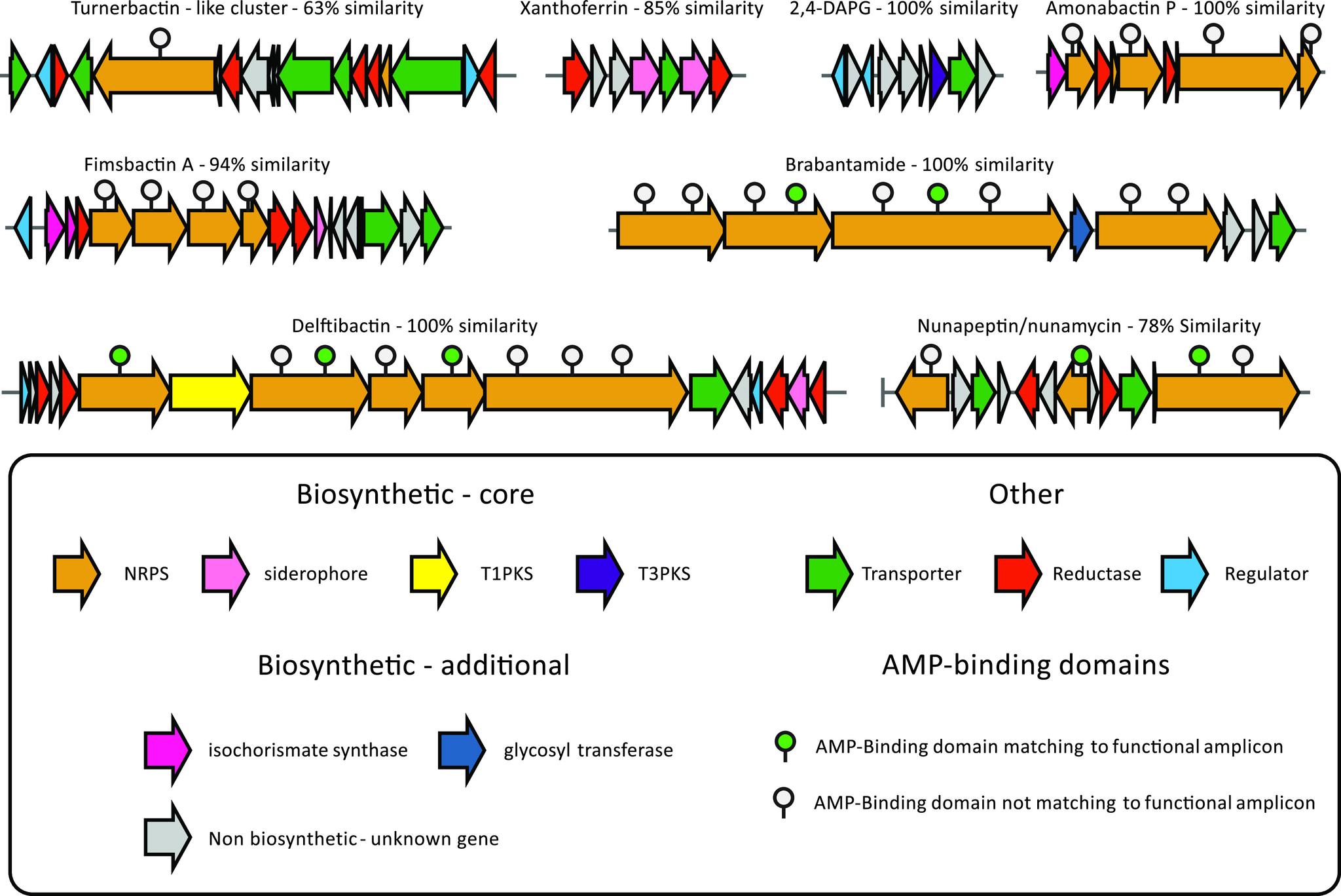 https://cdn.ncbi.nlm.nih.gov/pmc/blobs/5659/8269251/319494ce5922/msystems.01116-20-f006.jpg