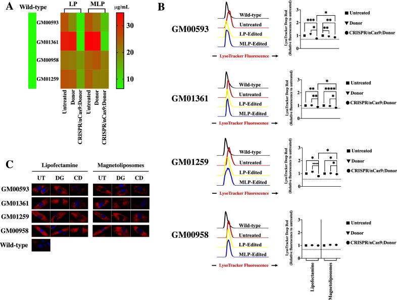 https://cdn.ncbi.nlm.nih.gov/pmc/blobs/5659/9440901/8212fa58b6dd/41598_2022_19407_Fig4_HTML.jpg