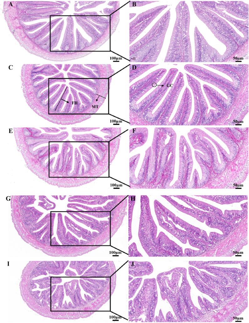 https://cdn.ncbi.nlm.nih.gov/pmc/blobs/565a/12099804/860d7b0a411f/gr2.jpg