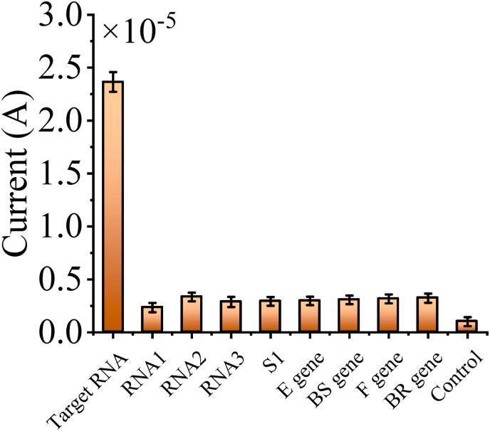 https://cdn.ncbi.nlm.nih.gov/pmc/blobs/565a/9676167/6df49fe0adde/gr3_lrg.jpg