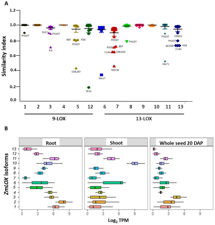 https://cdn.ncbi.nlm.nih.gov/pmc/blobs/565b/9503958/a68ea5bb7b4f/ijms-23-10894-g001.jpg
