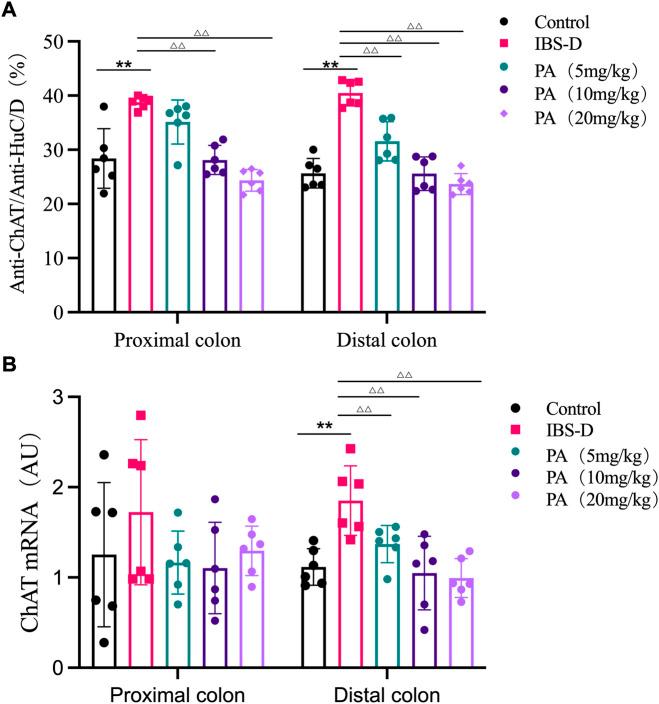 https://cdn.ncbi.nlm.nih.gov/pmc/blobs/565d/9703083/24aefbfd66b7/fphar-13-943119-g010.jpg