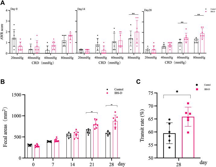https://cdn.ncbi.nlm.nih.gov/pmc/blobs/565d/9703083/26feeab73a04/fphar-13-943119-g001.jpg