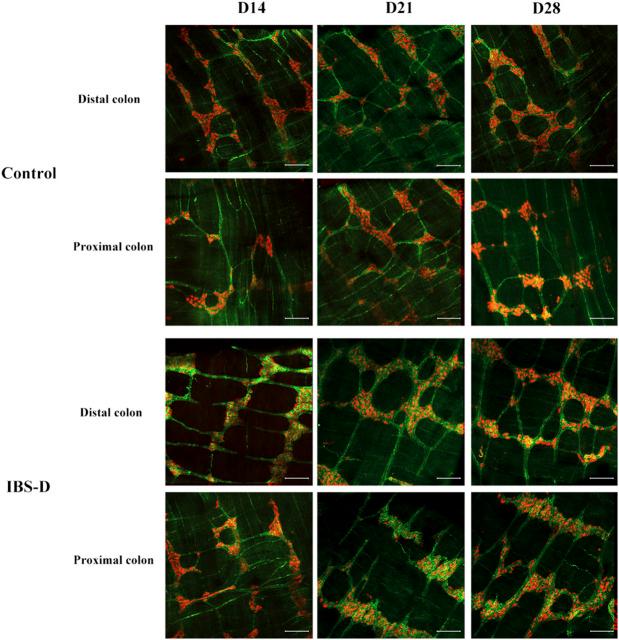 https://cdn.ncbi.nlm.nih.gov/pmc/blobs/565d/9703083/705c686e45d9/fphar-13-943119-g003.jpg