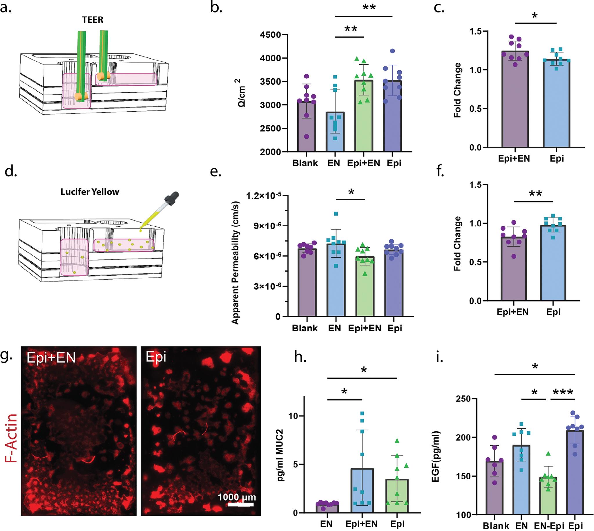https://cdn.ncbi.nlm.nih.gov/pmc/blobs/565f/12380100/3e1ef5bf131f/nihms-2086014-f0004.jpg