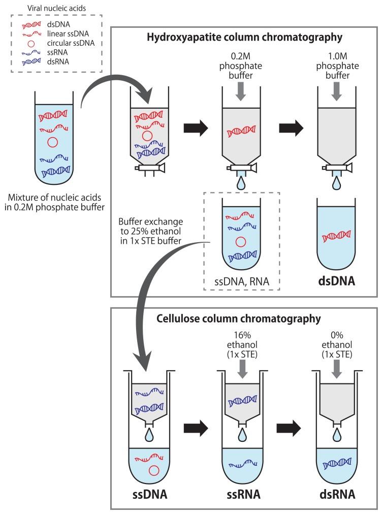 https://cdn.ncbi.nlm.nih.gov/pmc/blobs/565f/4462933/637fe294c646/30_199_1.jpg