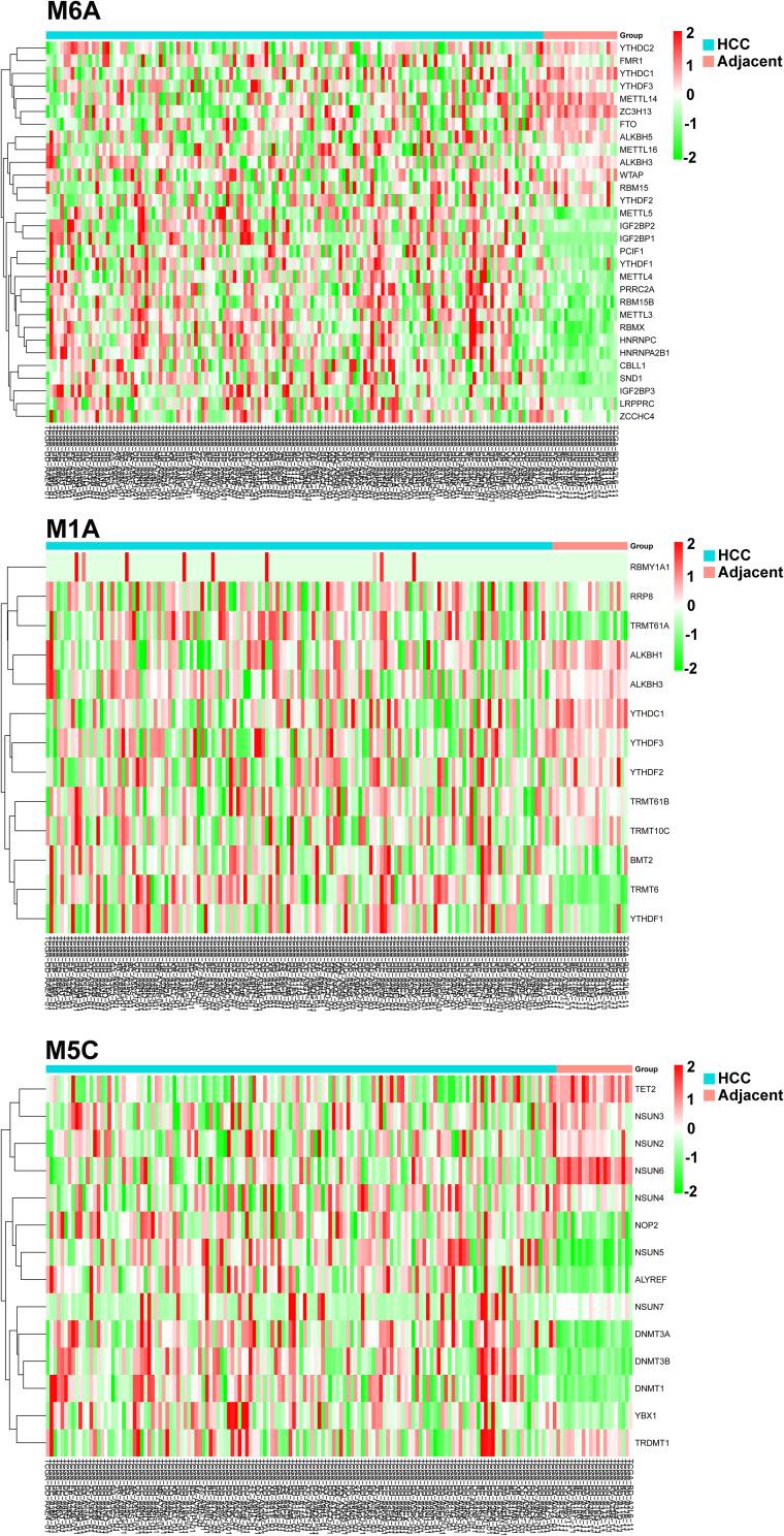 https://cdn.ncbi.nlm.nih.gov/pmc/blobs/5668/10758181/ce04f607aa78/JHC-10-2383-g0002.jpg