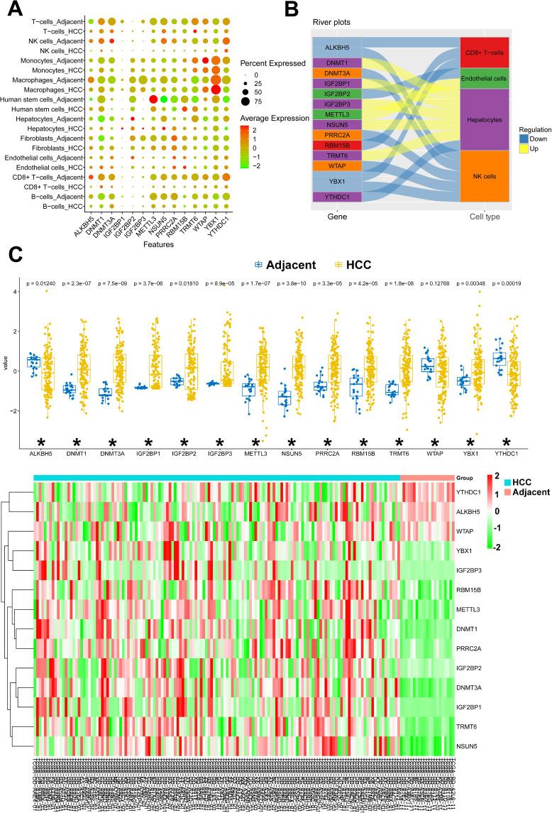 https://cdn.ncbi.nlm.nih.gov/pmc/blobs/5668/10758181/f65b25221f4a/JHC-10-2383-g0004.jpg