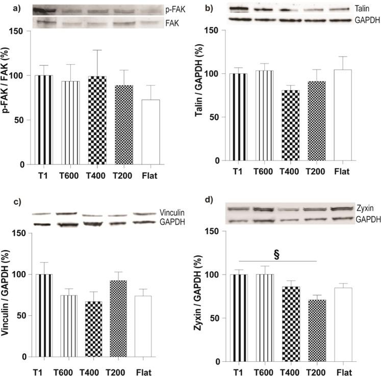 https://cdn.ncbi.nlm.nih.gov/pmc/blobs/5669/7048778/30f62ab8380d/41598_2020_60745_Fig5_HTML.jpg