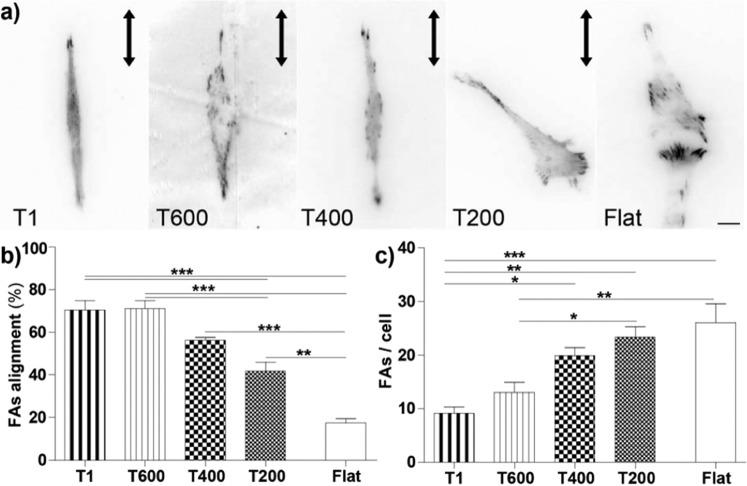 https://cdn.ncbi.nlm.nih.gov/pmc/blobs/5669/7048778/3b716f93e0f4/41598_2020_60745_Fig3_HTML.jpg