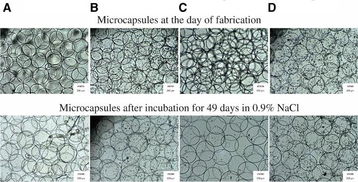 https://cdn.ncbi.nlm.nih.gov/pmc/blobs/5669/7066046/65cd2e02a8ed/gr10.jpg