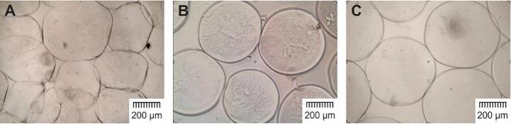 https://cdn.ncbi.nlm.nih.gov/pmc/blobs/5669/7066046/bb4f8656281d/gr4.jpg