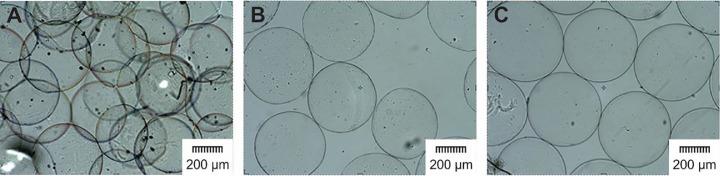 https://cdn.ncbi.nlm.nih.gov/pmc/blobs/5669/7066046/f47a0ae61404/gr5.jpg