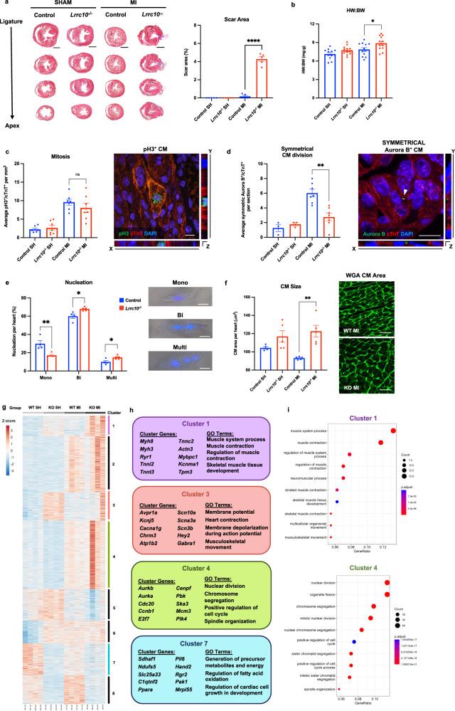 https://cdn.ncbi.nlm.nih.gov/pmc/blobs/566d/10382521/04b081a4cb9d/41536_2023_316_Fig1_HTML.jpg