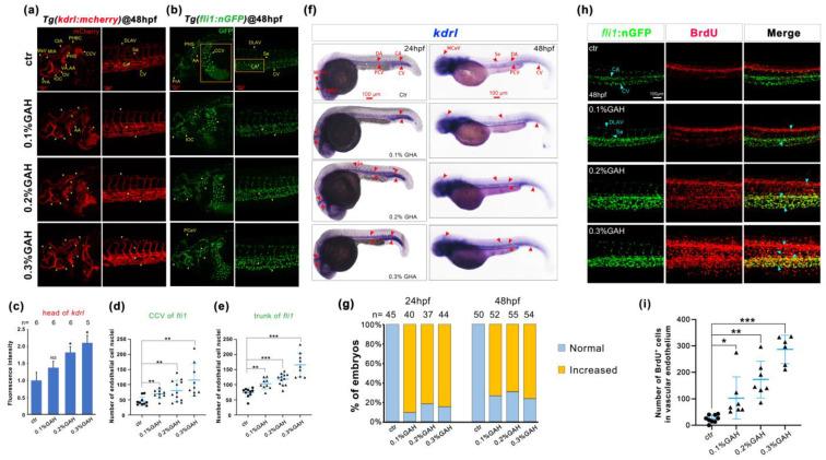 https://cdn.ncbi.nlm.nih.gov/pmc/blobs/566e/10745105/1259d8b210b2/life-13-02330-g002.jpg