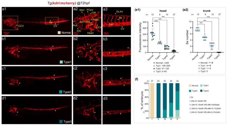 https://cdn.ncbi.nlm.nih.gov/pmc/blobs/566e/10745105/36b1414f18d4/life-13-02330-g003.jpg