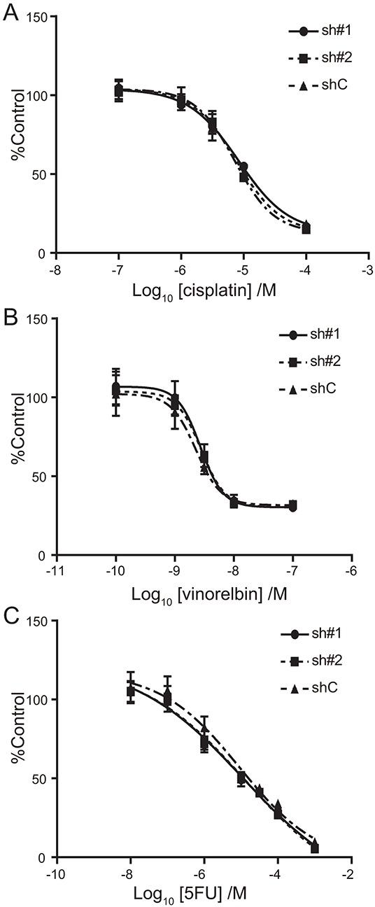 https://cdn.ncbi.nlm.nih.gov/pmc/blobs/5670/5078083/833e0d29d810/oncotarget-07-33165-g004.jpg