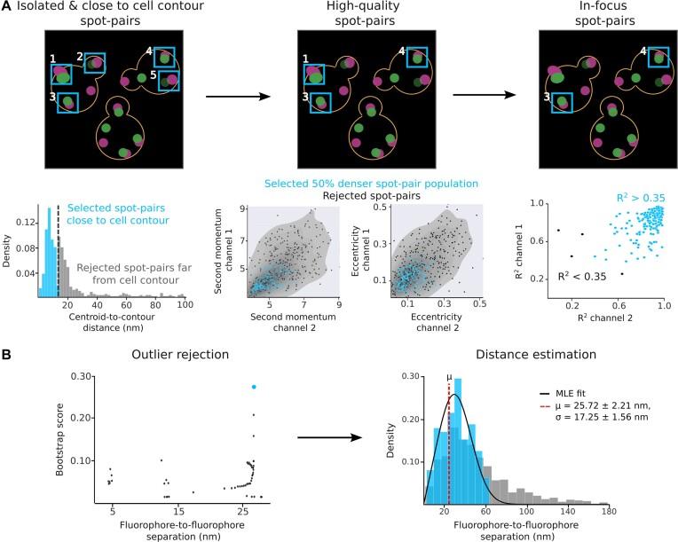 https://cdn.ncbi.nlm.nih.gov/pmc/blobs/5671/10939353/9184878c875b/lqae027fig2.jpg