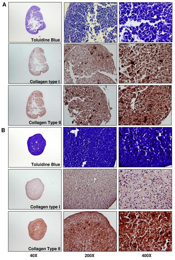 https://cdn.ncbi.nlm.nih.gov/pmc/blobs/5671/2875662/57f387b3d3f7/ar2935-6.jpg