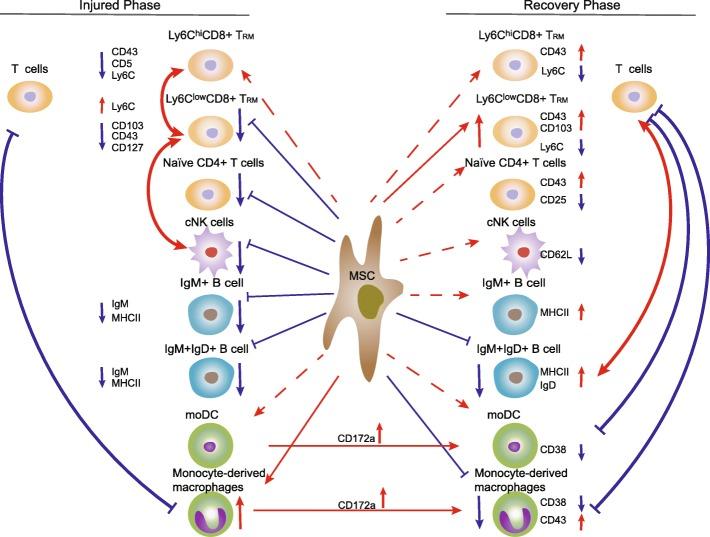 https://cdn.ncbi.nlm.nih.gov/pmc/blobs/5671/6708172/3c393c48e68f/13287_2019_1379_Fig7_HTML.jpg