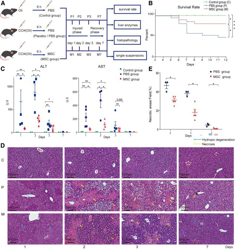 https://cdn.ncbi.nlm.nih.gov/pmc/blobs/5671/6708172/ec819d456371/13287_2019_1379_Fig1_HTML.jpg