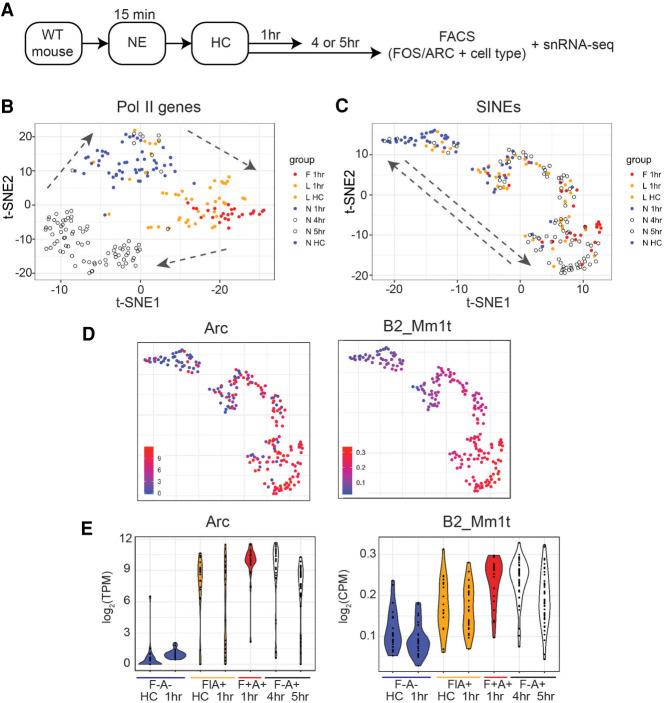 https://cdn.ncbi.nlm.nih.gov/pmc/blobs/5671/7605253/5ee37cd59efb/1643f05.jpg