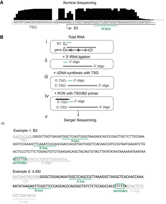 https://cdn.ncbi.nlm.nih.gov/pmc/blobs/5671/7605253/f2ad8c2cb1cd/1643f02.jpg