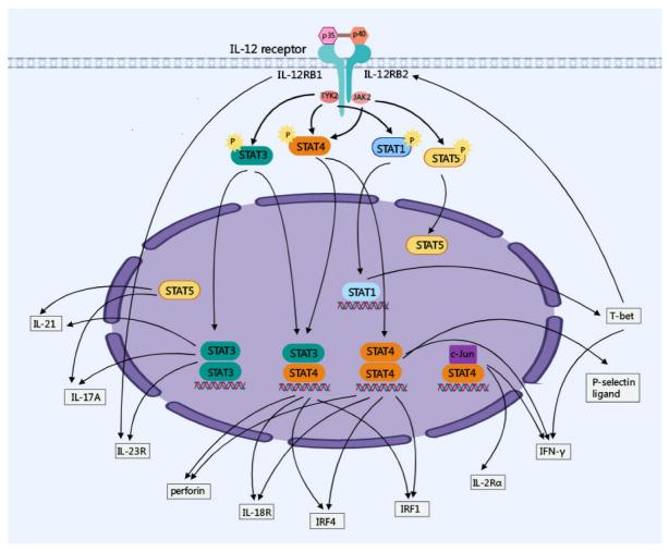 https://cdn.ncbi.nlm.nih.gov/pmc/blobs/5675/9688694/57f22b6e183d/cancers-14-05592-g001.jpg
