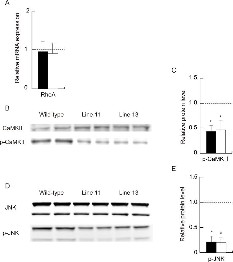 https://cdn.ncbi.nlm.nih.gov/pmc/blobs/5676/3701684/0eb8016afecd/pone.0067712.g003.jpg