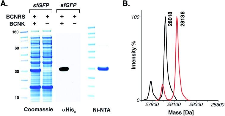 https://cdn.ncbi.nlm.nih.gov/pmc/blobs/5676/4285100/25a3ca0d094b/c3sc53332h-f2.jpg