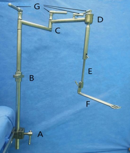 https://cdn.ncbi.nlm.nih.gov/pmc/blobs/5678/10978638/39402ad24e69/464_2024_10678_Fig3_HTML.jpg