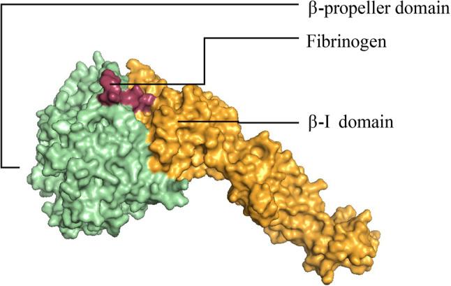 https://cdn.ncbi.nlm.nih.gov/pmc/blobs/5678/11480402/276357681dd0/41598_2024_75070_Fig1_HTML.jpg