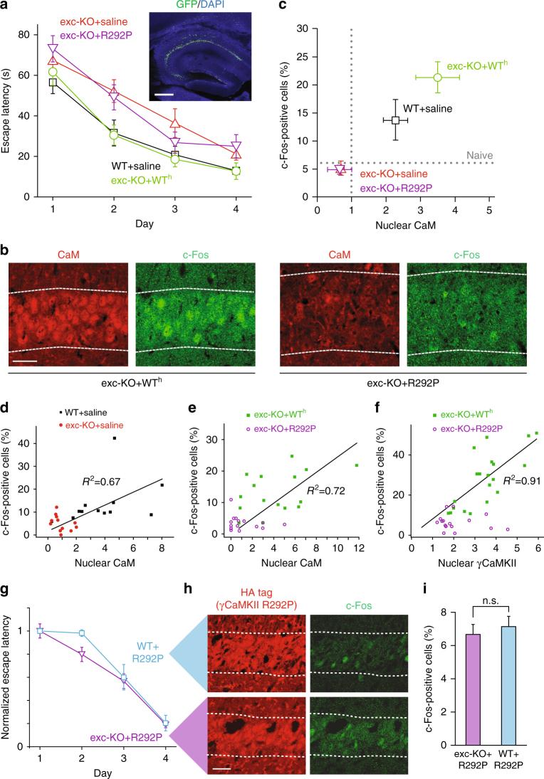 https://cdn.ncbi.nlm.nih.gov/pmc/blobs/5679/6015085/26354578a422/41467_2018_4705_Fig4_HTML.jpg