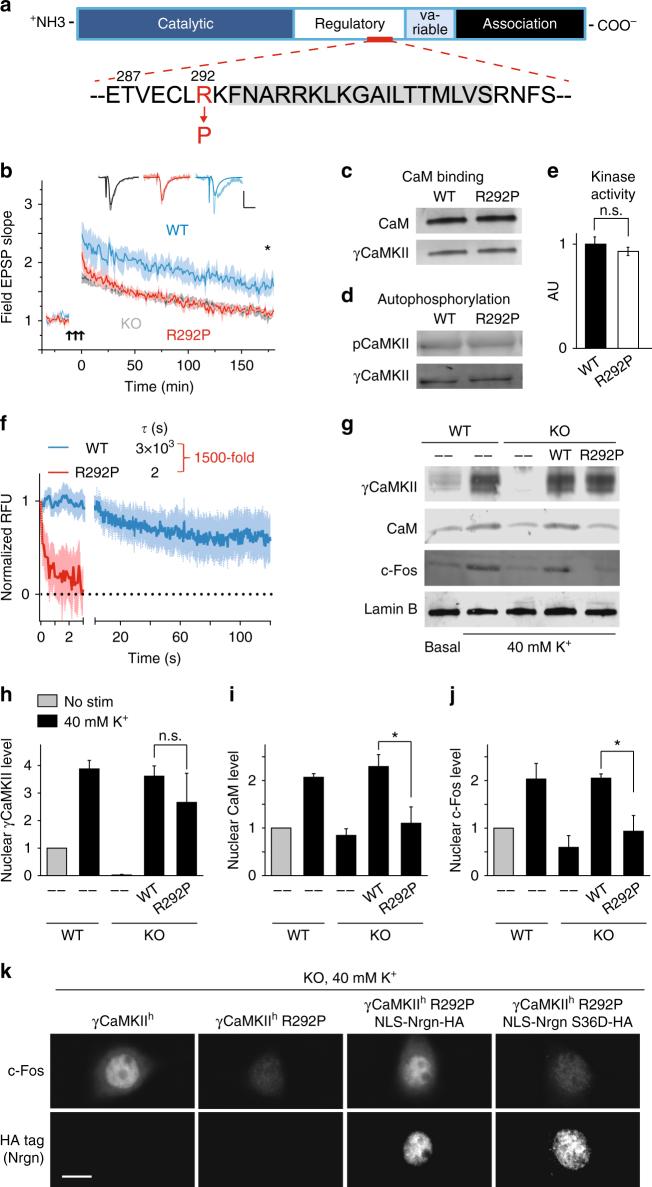https://cdn.ncbi.nlm.nih.gov/pmc/blobs/5679/6015085/9195dfeda77e/41467_2018_4705_Fig3_HTML.jpg