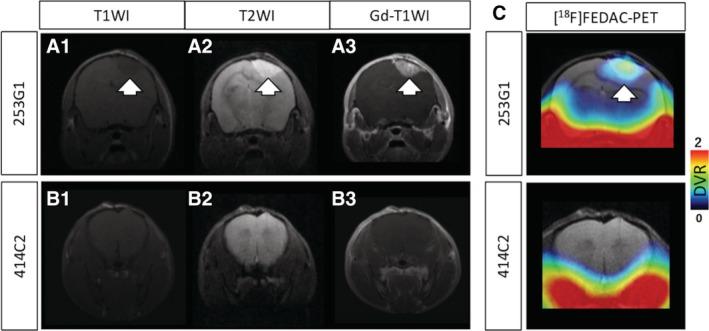 https://cdn.ncbi.nlm.nih.gov/pmc/blobs/5679/7103627/1f40bc1b776f/SCT3-9-465-g004.jpg