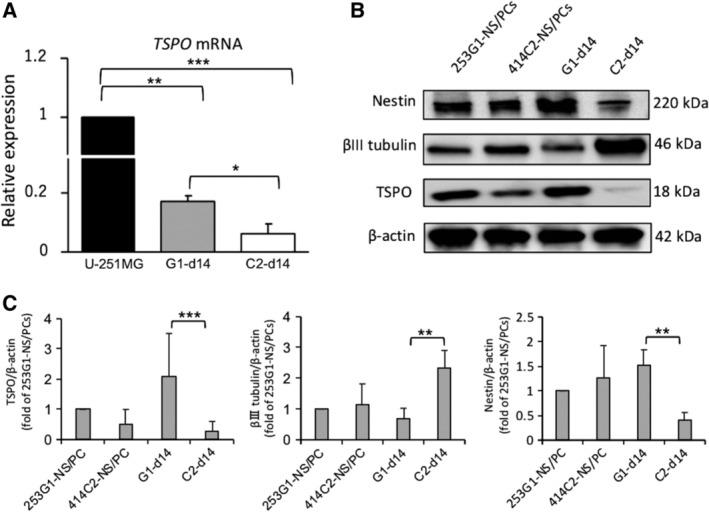 https://cdn.ncbi.nlm.nih.gov/pmc/blobs/5679/7103627/67f78836db3e/SCT3-9-465-g002.jpg