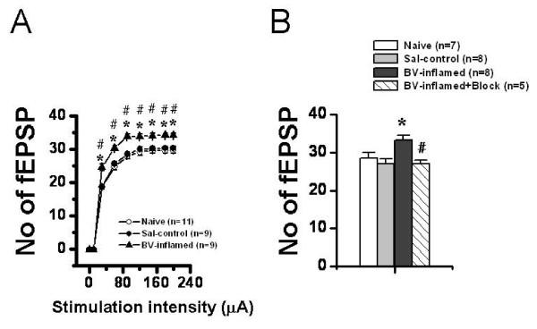 https://cdn.ncbi.nlm.nih.gov/pmc/blobs/567a/2759921/ac8d6371d39f/1744-8069-5-55-6.jpg