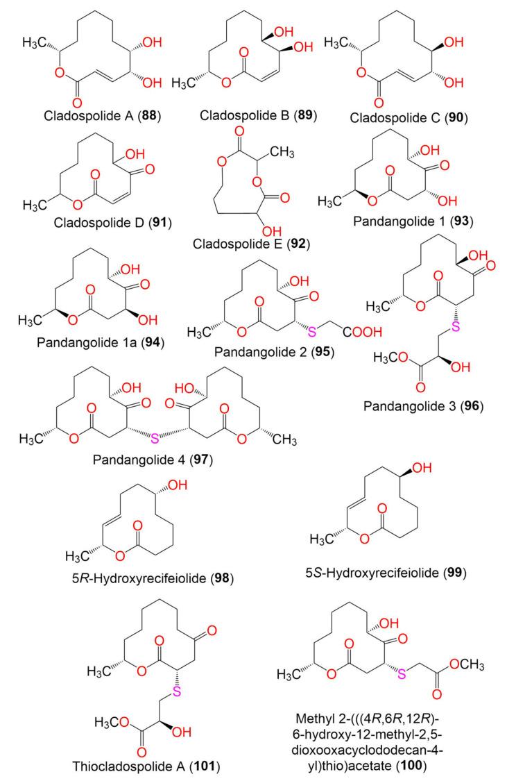 https://cdn.ncbi.nlm.nih.gov/pmc/blobs/567a/8622643/d89f1b133e0e/marinedrugs-19-00645-g012.jpg