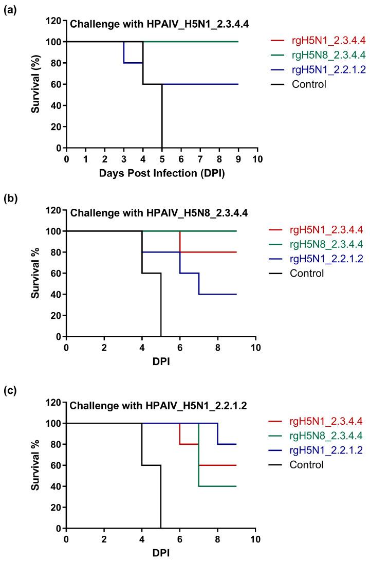 https://cdn.ncbi.nlm.nih.gov/pmc/blobs/567c/10538193/1f79fc094511/vaccines-11-01397-g005.jpg