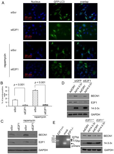 https://cdn.ncbi.nlm.nih.gov/pmc/blobs/567c/2861590/30006a992a5e/pone.0010409.g005.jpg