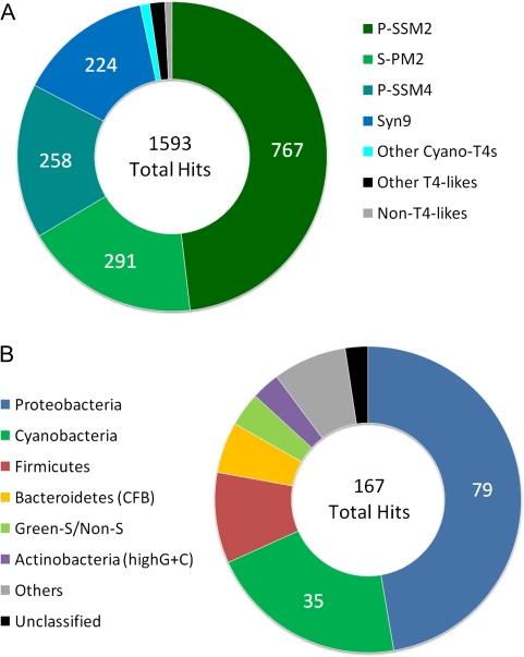 https://cdn.ncbi.nlm.nih.gov/pmc/blobs/567c/2908710/ede466da73f9/molbiolevolmsq076f02_3c.jpg