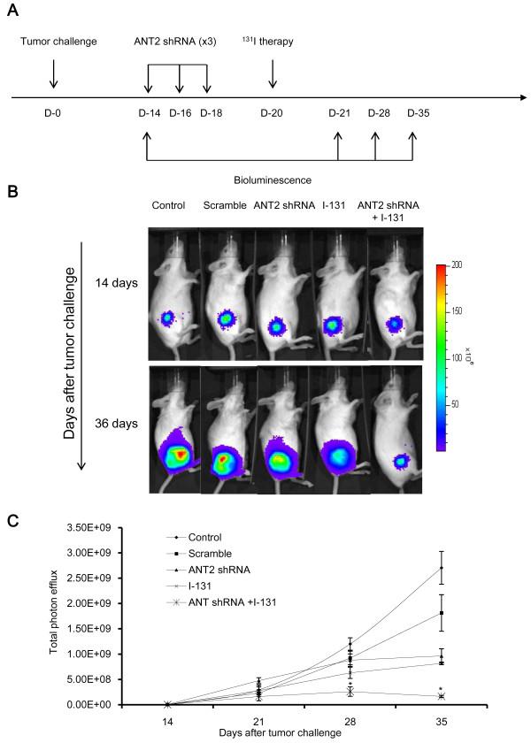 https://cdn.ncbi.nlm.nih.gov/pmc/blobs/567f/3653759/ab86273e7fa0/1471-2407-13-143-5.jpg