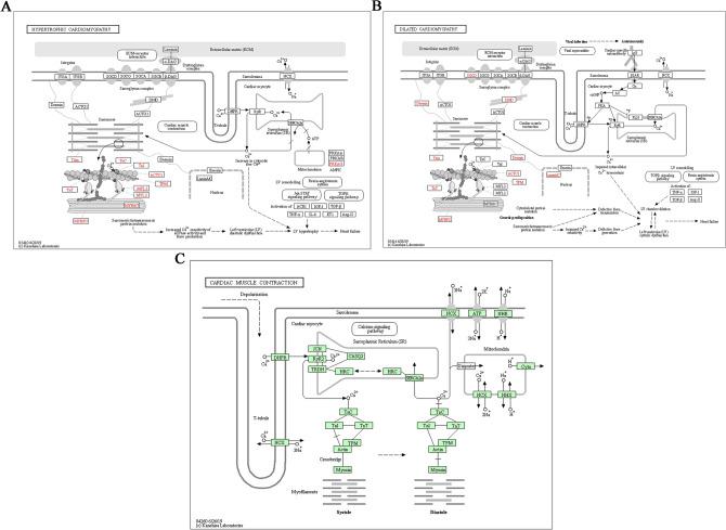 https://cdn.ncbi.nlm.nih.gov/pmc/blobs/567f/8009917/f423b94f73c3/41598_2021_86717_Fig6_HTML.jpg