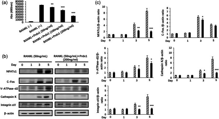 https://cdn.ncbi.nlm.nih.gov/pmc/blobs/5680/11649962/1a88011b0c40/JCP-239-0-g005.jpg