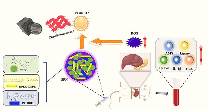 https://cdn.ncbi.nlm.nih.gov/pmc/blobs/5681/10230766/cd9b72644f30/12951_2023_1937_Fig1_HTML.jpg