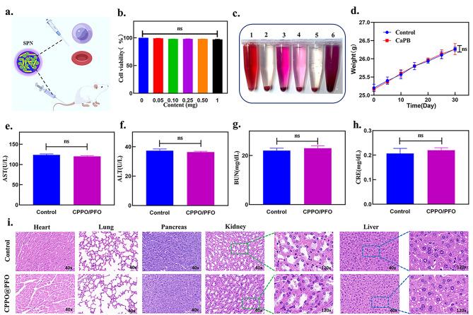 https://cdn.ncbi.nlm.nih.gov/pmc/blobs/5681/10230766/d65b466de75a/12951_2023_1937_Fig4_HTML.jpg