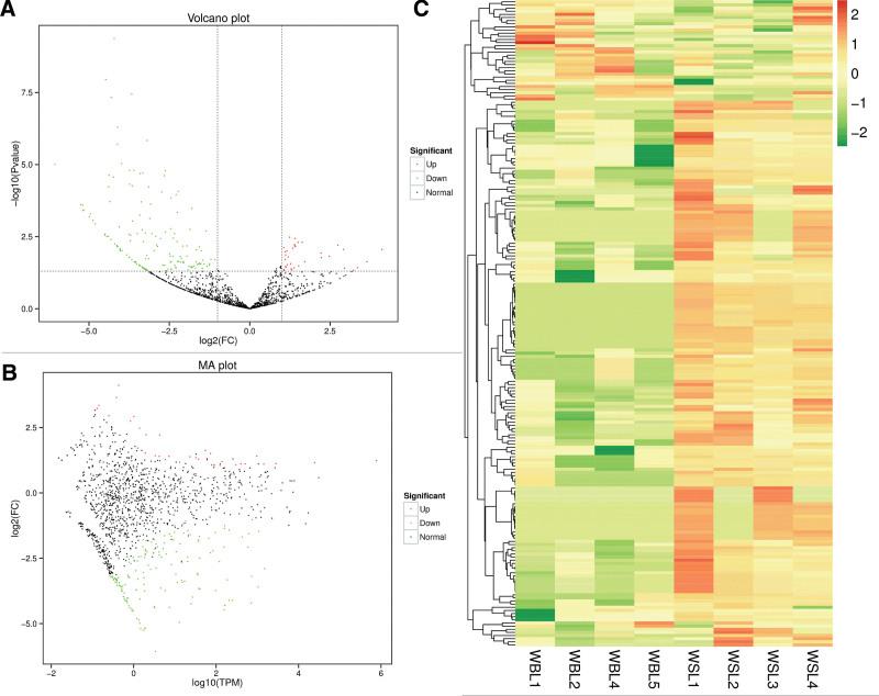 https://cdn.ncbi.nlm.nih.gov/pmc/blobs/5681/10589583/3f6bffd7b084/medi-102-e35597-g003.jpg