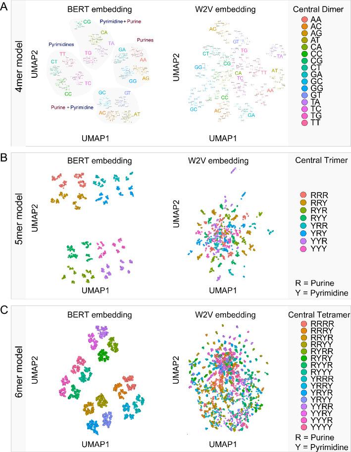 https://cdn.ncbi.nlm.nih.gov/pmc/blobs/5681/11395559/e7a4a328a8db/12859_2024_5869_Fig3_HTML.jpg